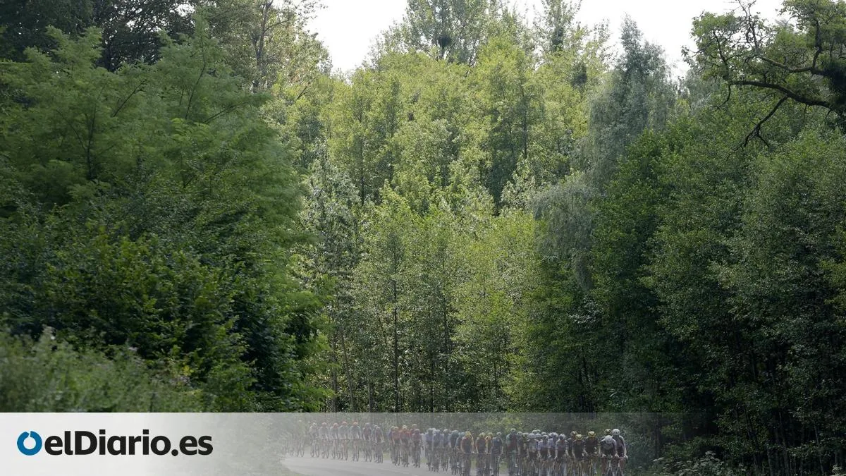 Tour de Francia 2026: La montaña dictará sentencia en los Vosgos y el Jura